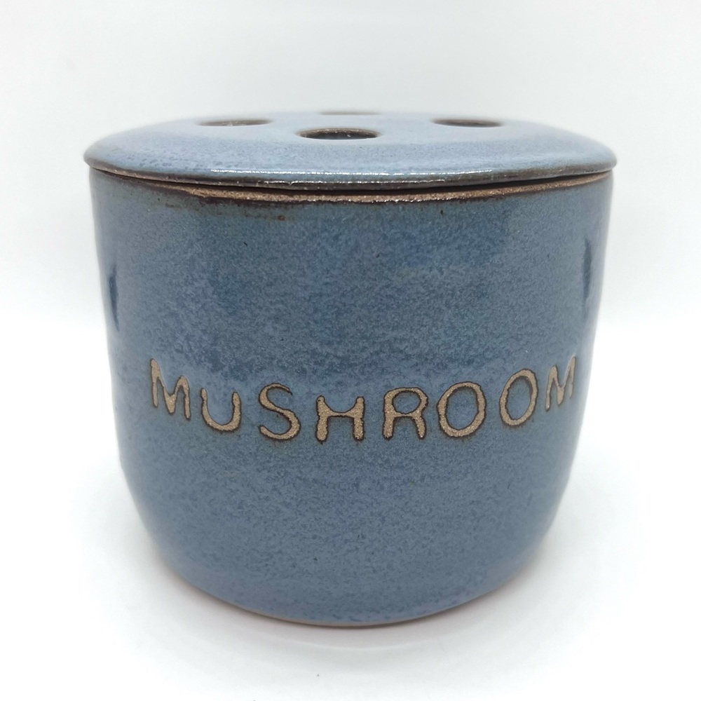 Handmade Signed M. Johnston Art Pottery Mushroom Keeper Canister